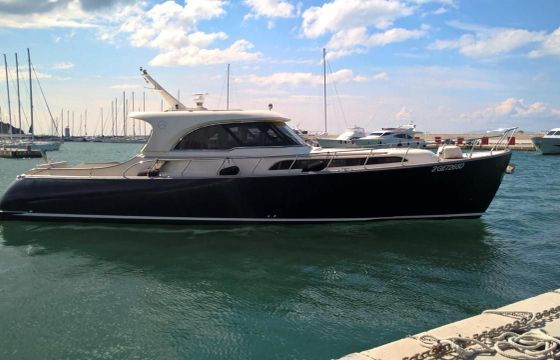 Mochi Craft Dolphin 51