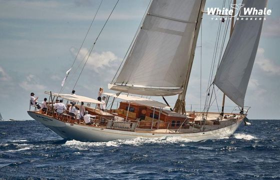 Hoek Truly Classic 108
