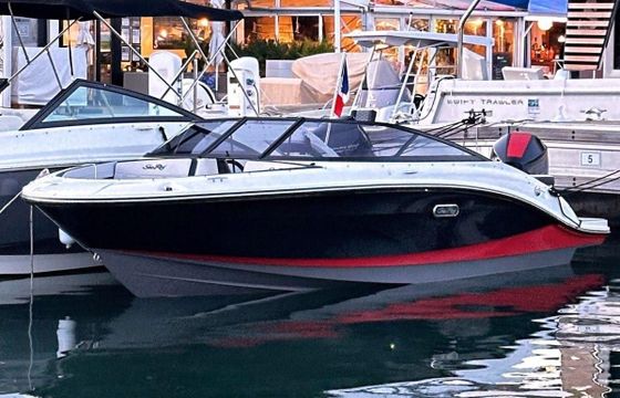 Sea Ray 190 SPN RACING