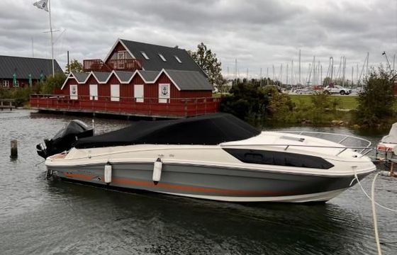 Bayliner Cuddy