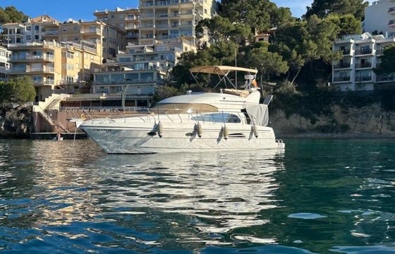 Astondoa 394 Fly