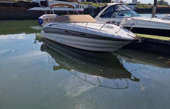 Crownline 250