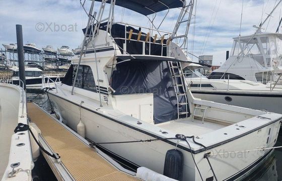 Blackfin 38 CONVERTIBLE