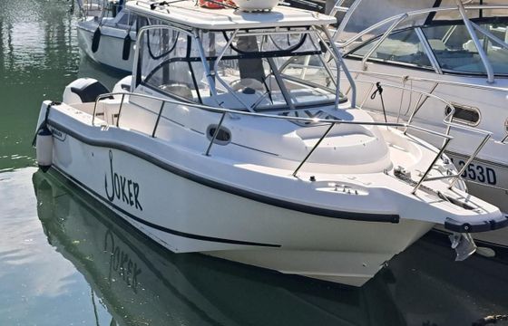 Boston Whaler 255 Conquest