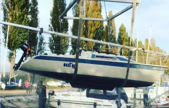 Dehlya 22