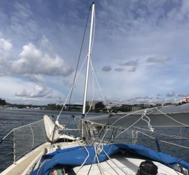 Dehlya 22