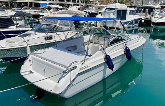 Sea Ray 230