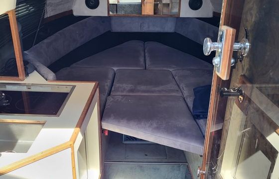Regal 233 XL Ambassador
