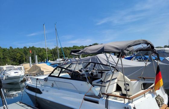 Regal 233 XL Ambassador