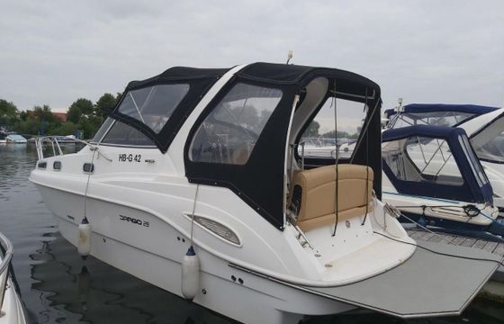 Drago 29