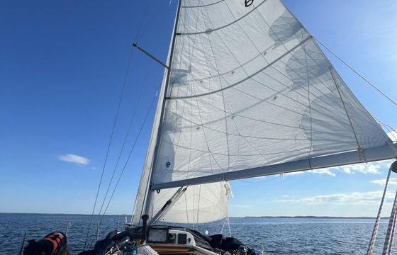 Elan 31
