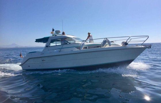 Hardy Seawings 305