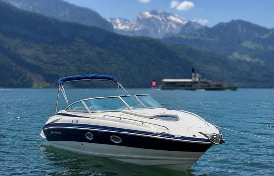 Crownline 26 Day Cruiser
