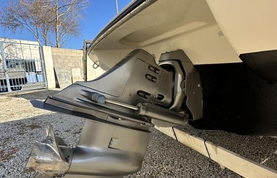 Stingray 220LX