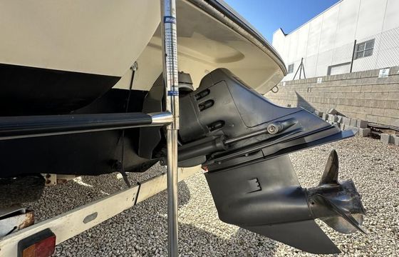 Stingray 220LX