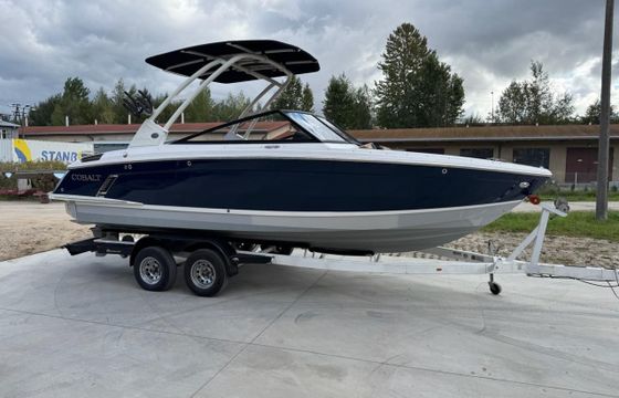 Cobalt R4 Surf