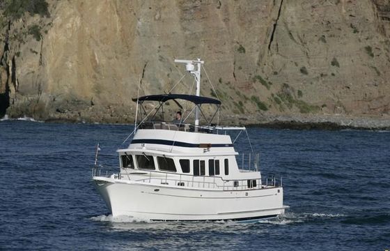 Selene 38