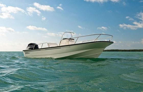 Boston Whaler 190 Montauk