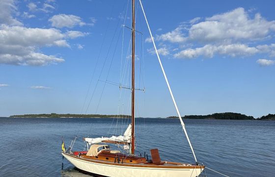 Tore Holm Velella