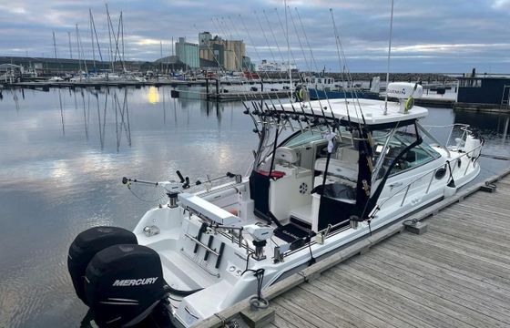 Wellcraft 290 coastal