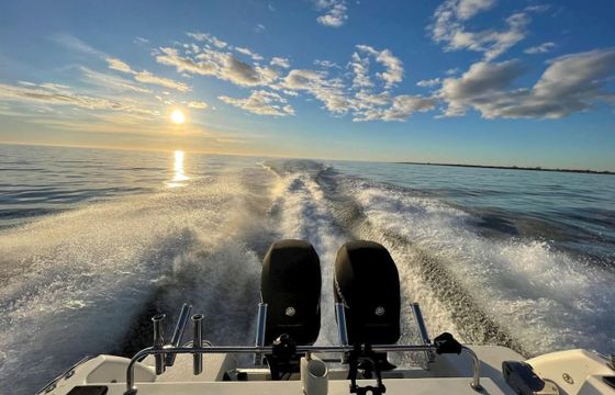 Wellcraft 290 coastal