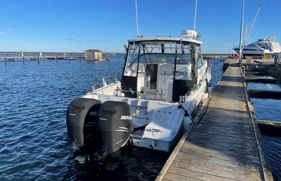 Wellcraft 290 coastal