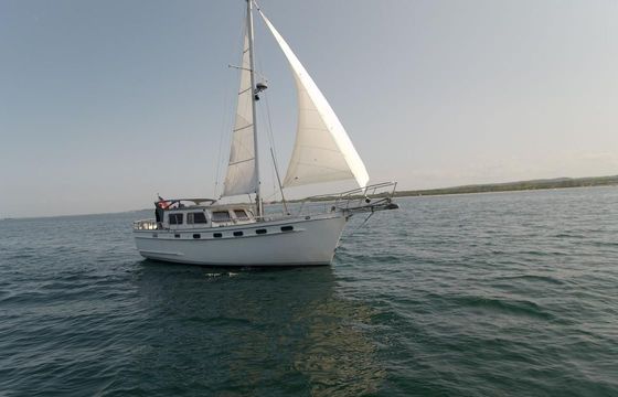 Island Trader 40