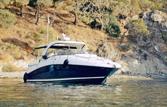 Sea Ray SUNDANCER 425
