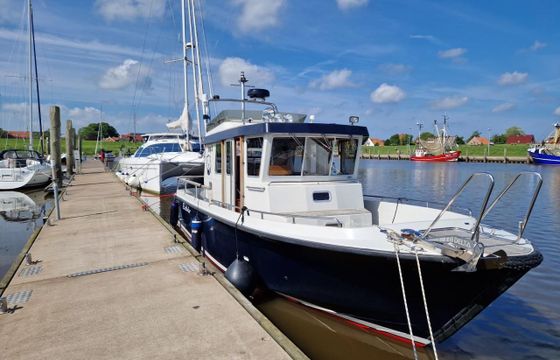 Targa 31