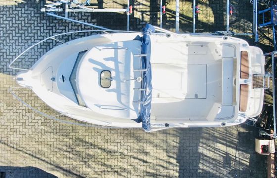 Arvor 20