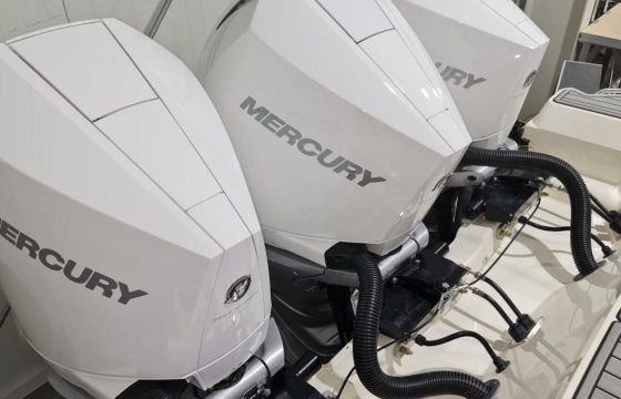 Sea Ray Sundancer 320 Outboard