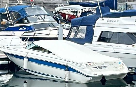 Sea Ray 200 OV