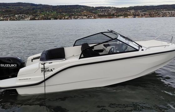 Silver Puma BR