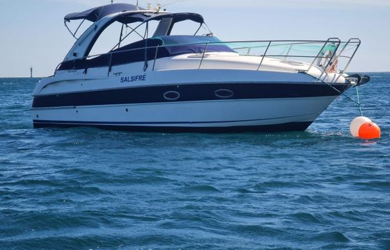 Bavaria Sport 29