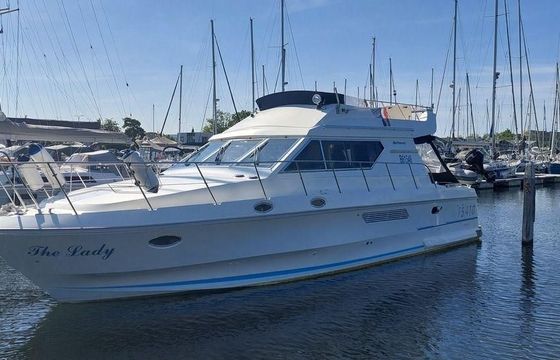 Birchwood TS410