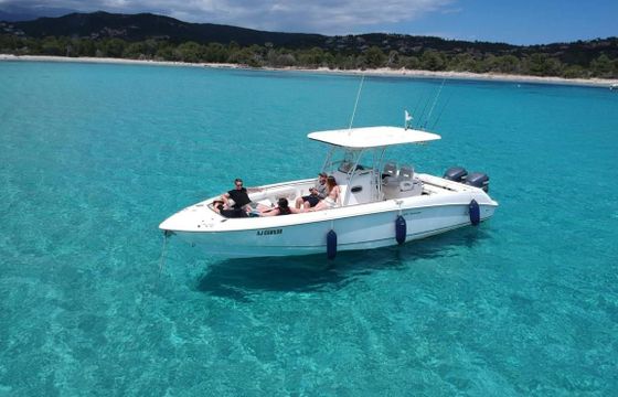 Boston Whaler 320 Outrage