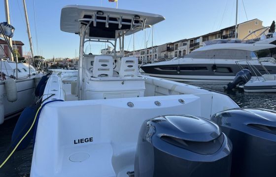 Boston Whaler 320 Outrage