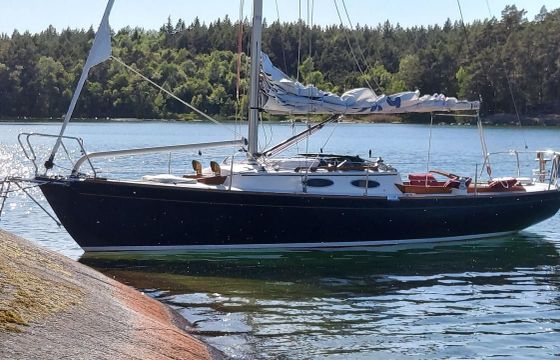 Express 28