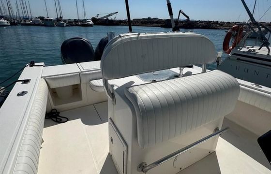 Regulator Marine 29FS
