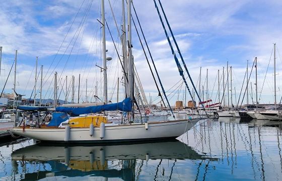 Columbia 50
