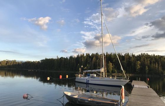 Swede 38