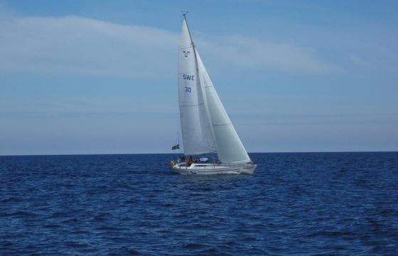 Swede 38