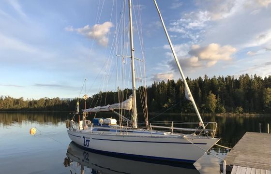 Swede 38
