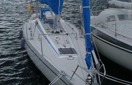 Swede 38