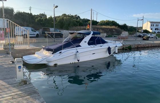 Sea Ray 290ss