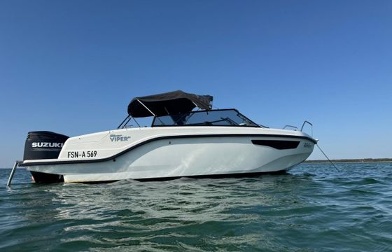 Silver Viper DcZ