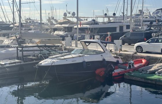 Sea Ray Sundancer 310