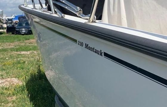 Boston Whaler MONTAUK 210