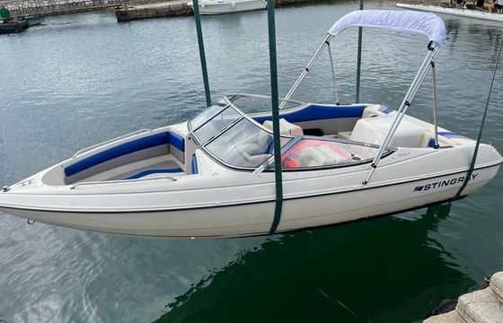 Stingray 556 ZP