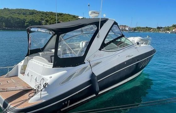 Cruisers 330